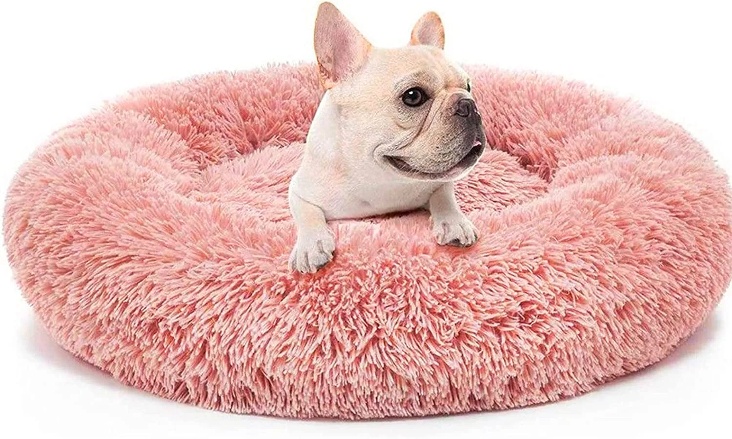 20 Inch Bed for Pets