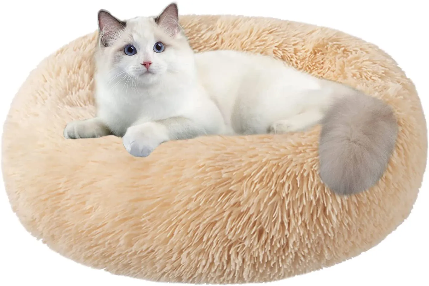 20 Inch Bed for Pets