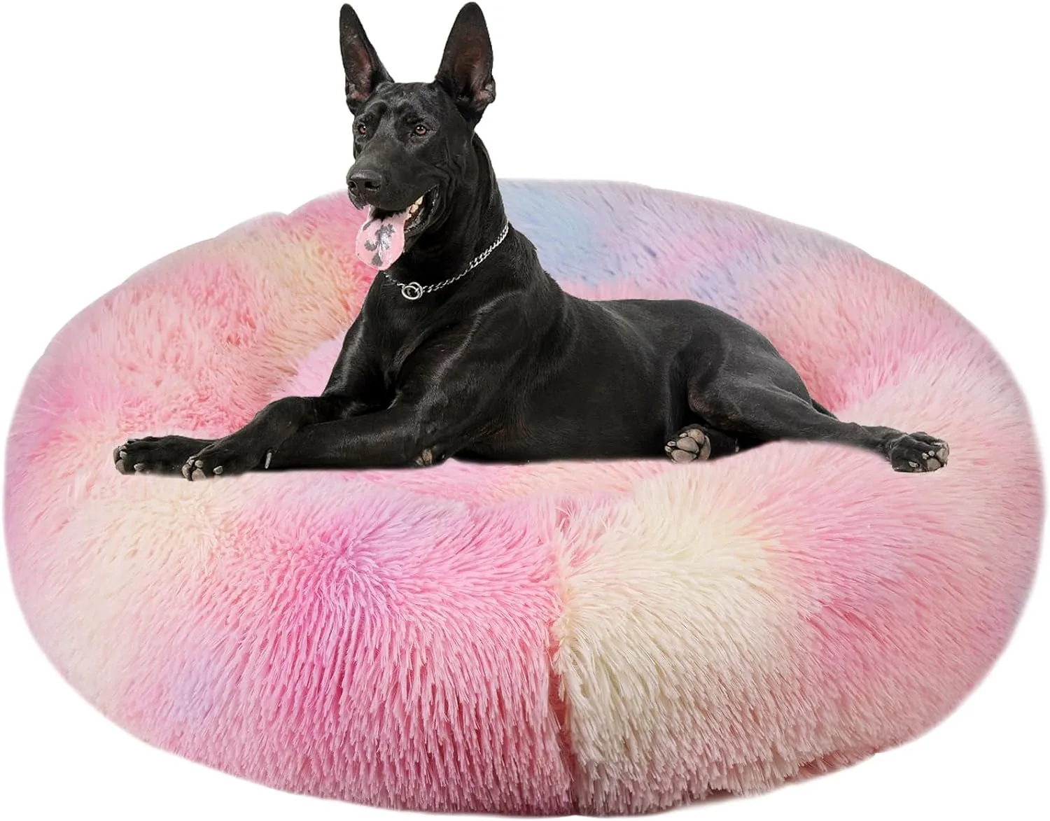 20 Inch Bed for Pets