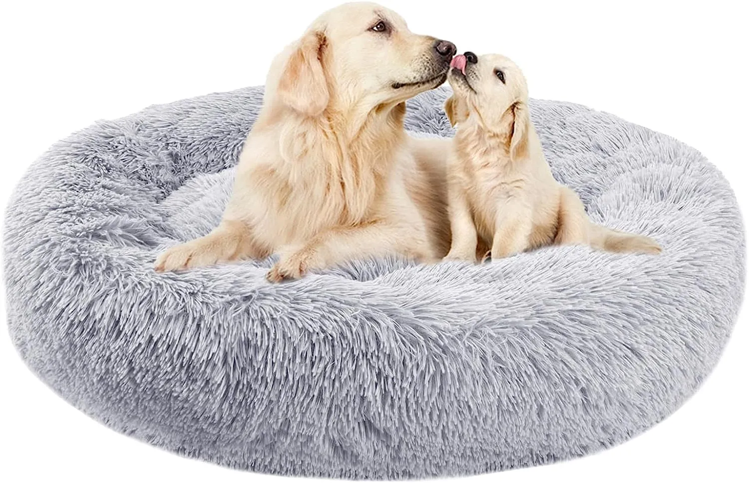 20 Inch Bed for Pets