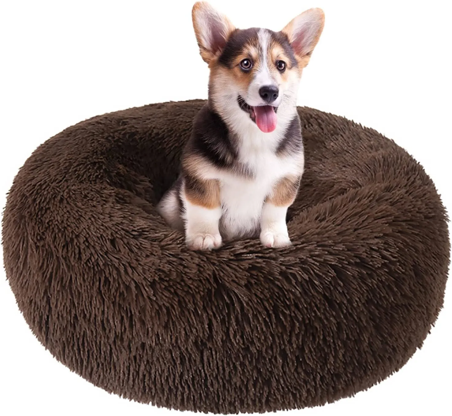 20 Inch Bed for Pets