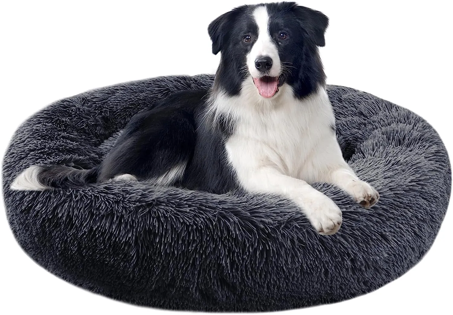 20 Inch Bed for Pets