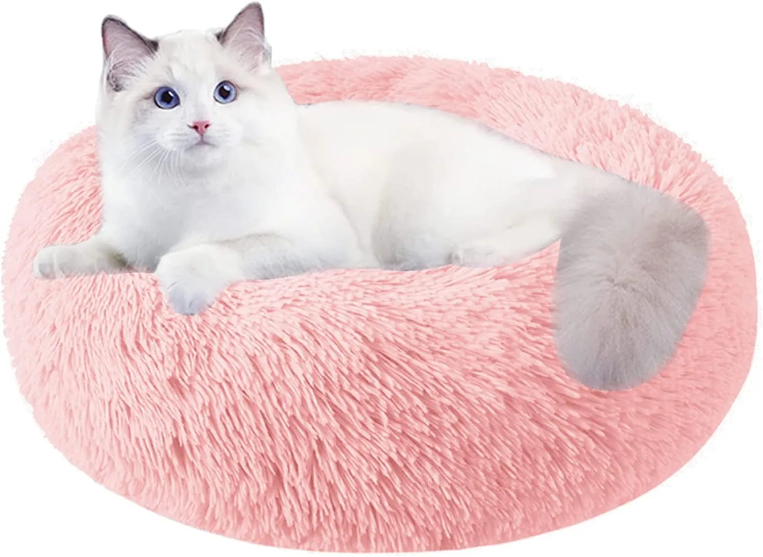 20 Inch Bed for Pets