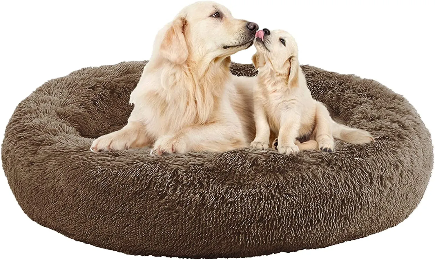 20 Inch Bed for Pets