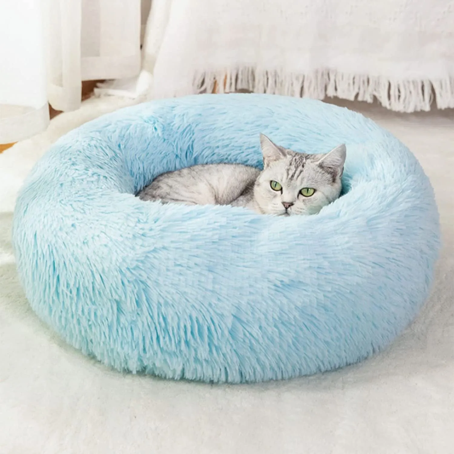 20 Inch Bed for Pets