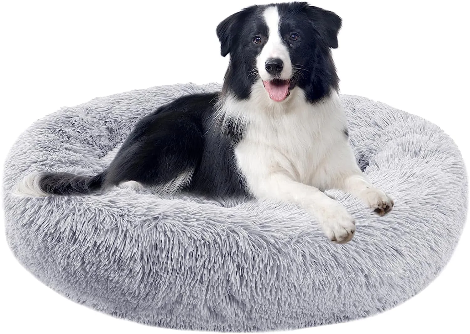 20 Inch Bed for Pets