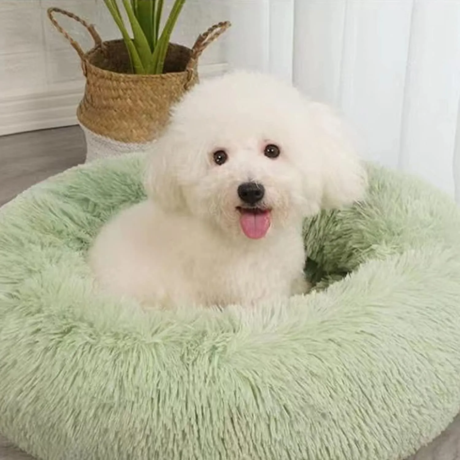 20 Inch Bed for Pets