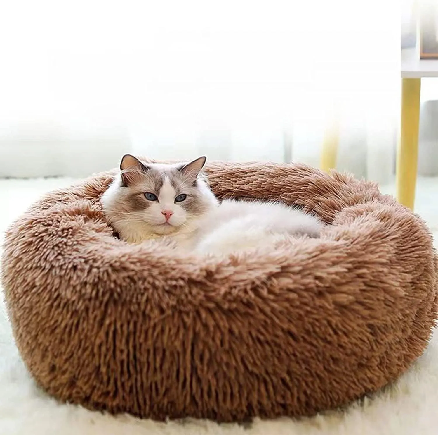 20 Inch Bed for Pets