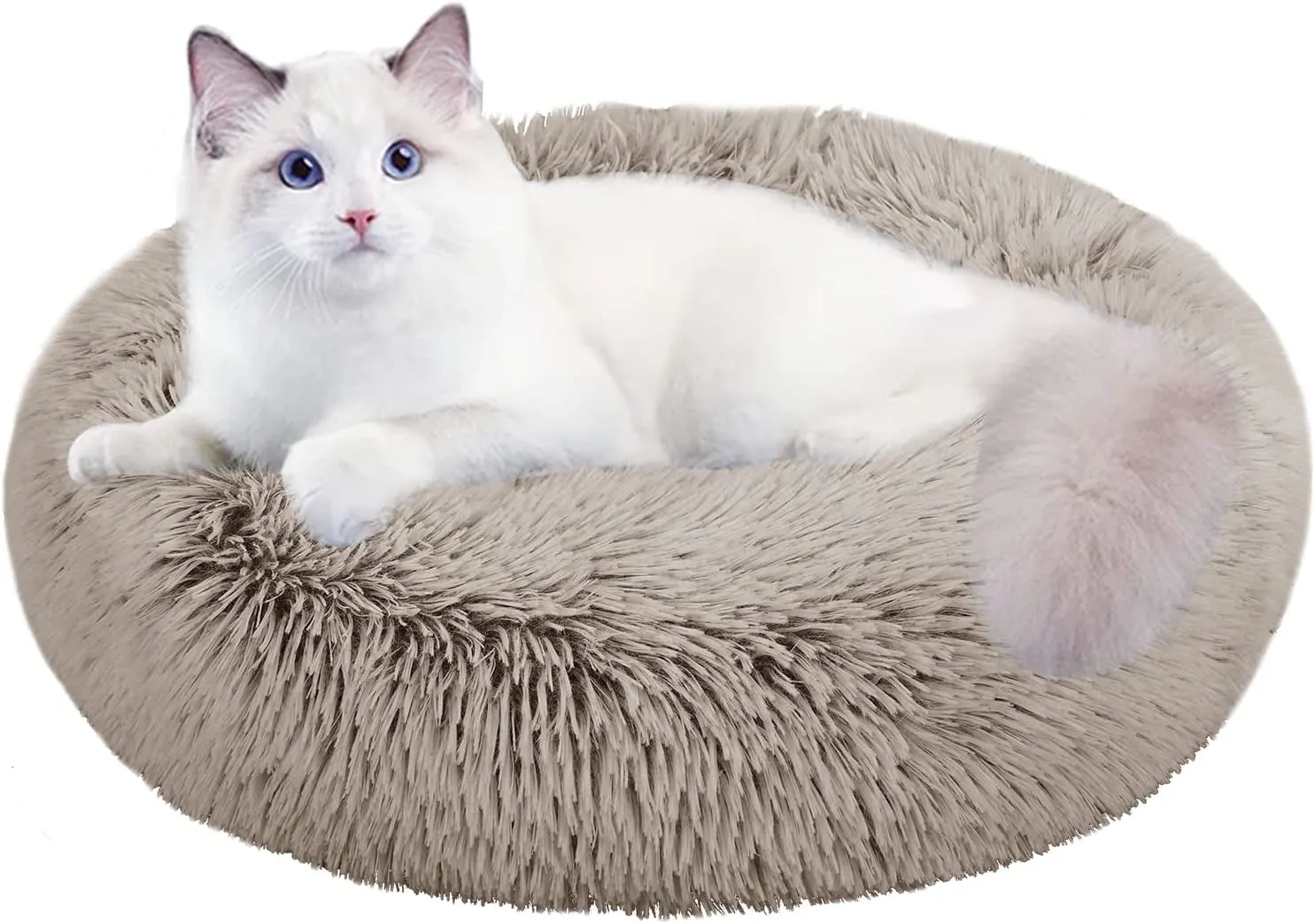 20 Inch Bed for Pets