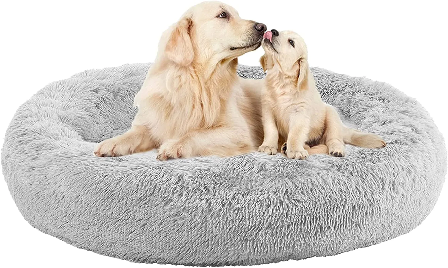 20 Inch Bed for Pets