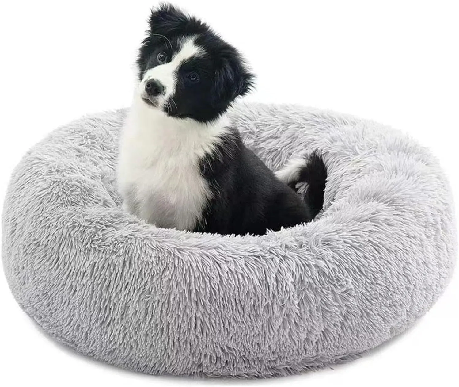 20 Inch Bed for Pets