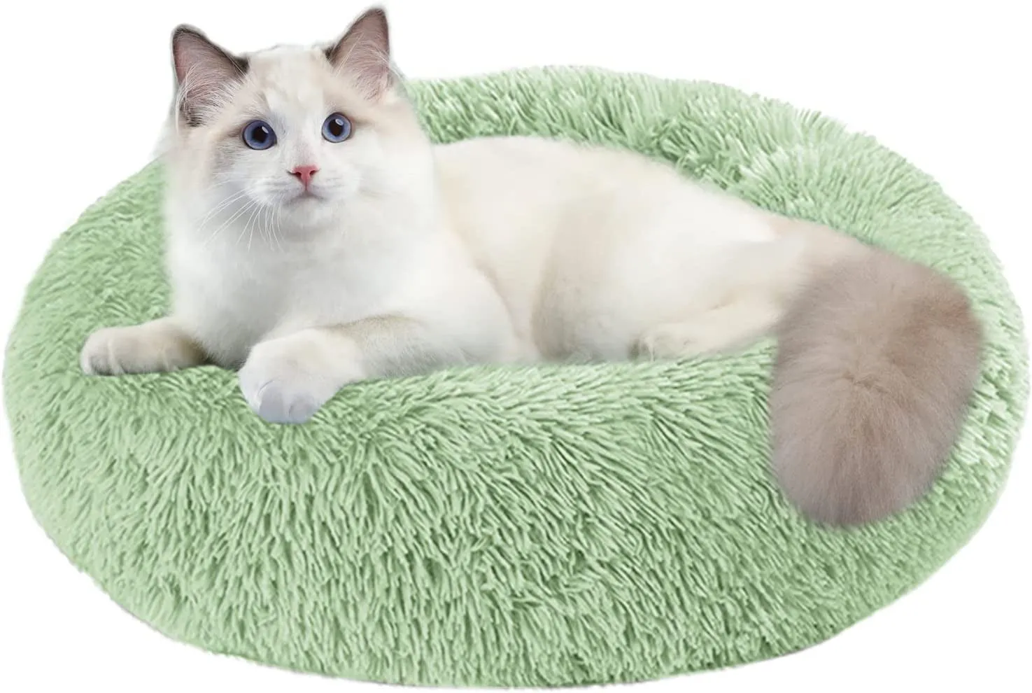 20 Inch Bed for Pets