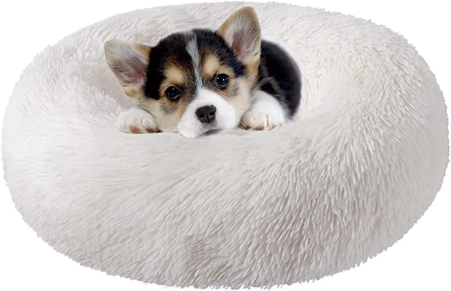 20 Inch Bed for Pets