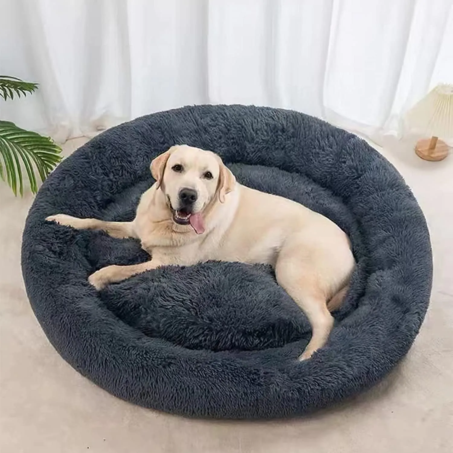 20 Inch Bed for Pets