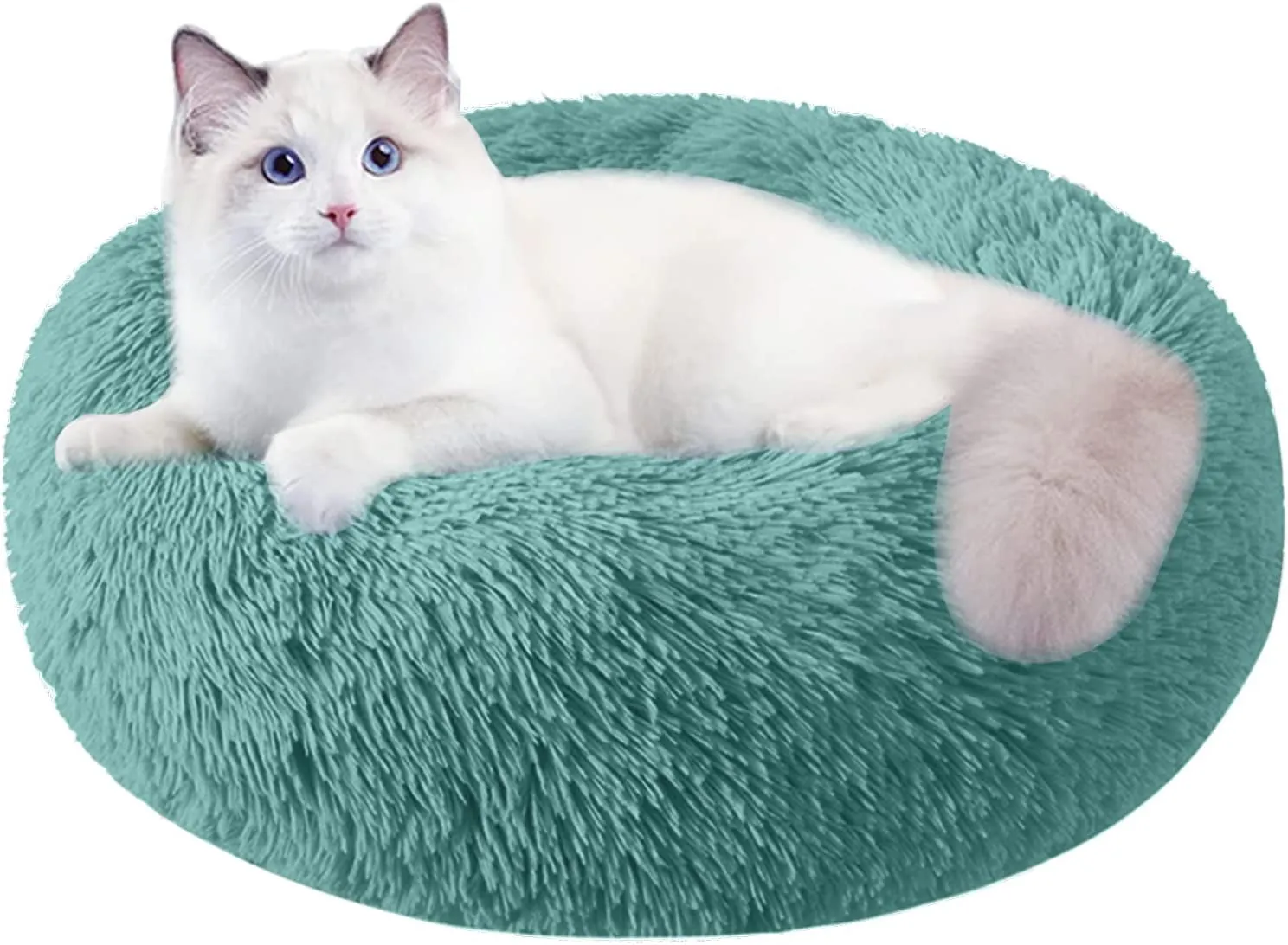 20 Inch Bed for Pets