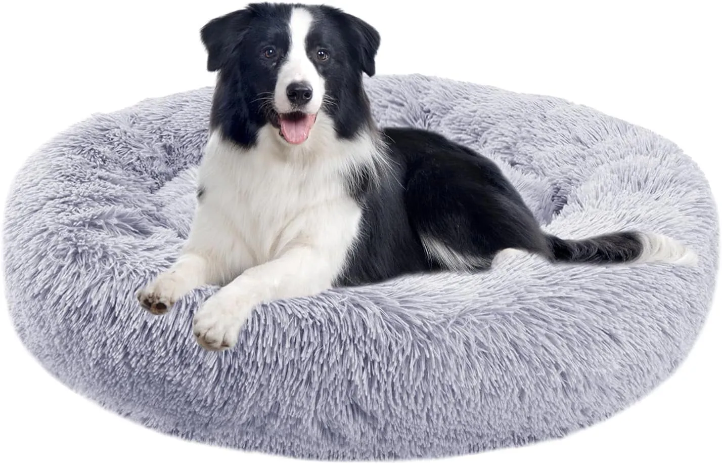 20 Inch Bed for Pets