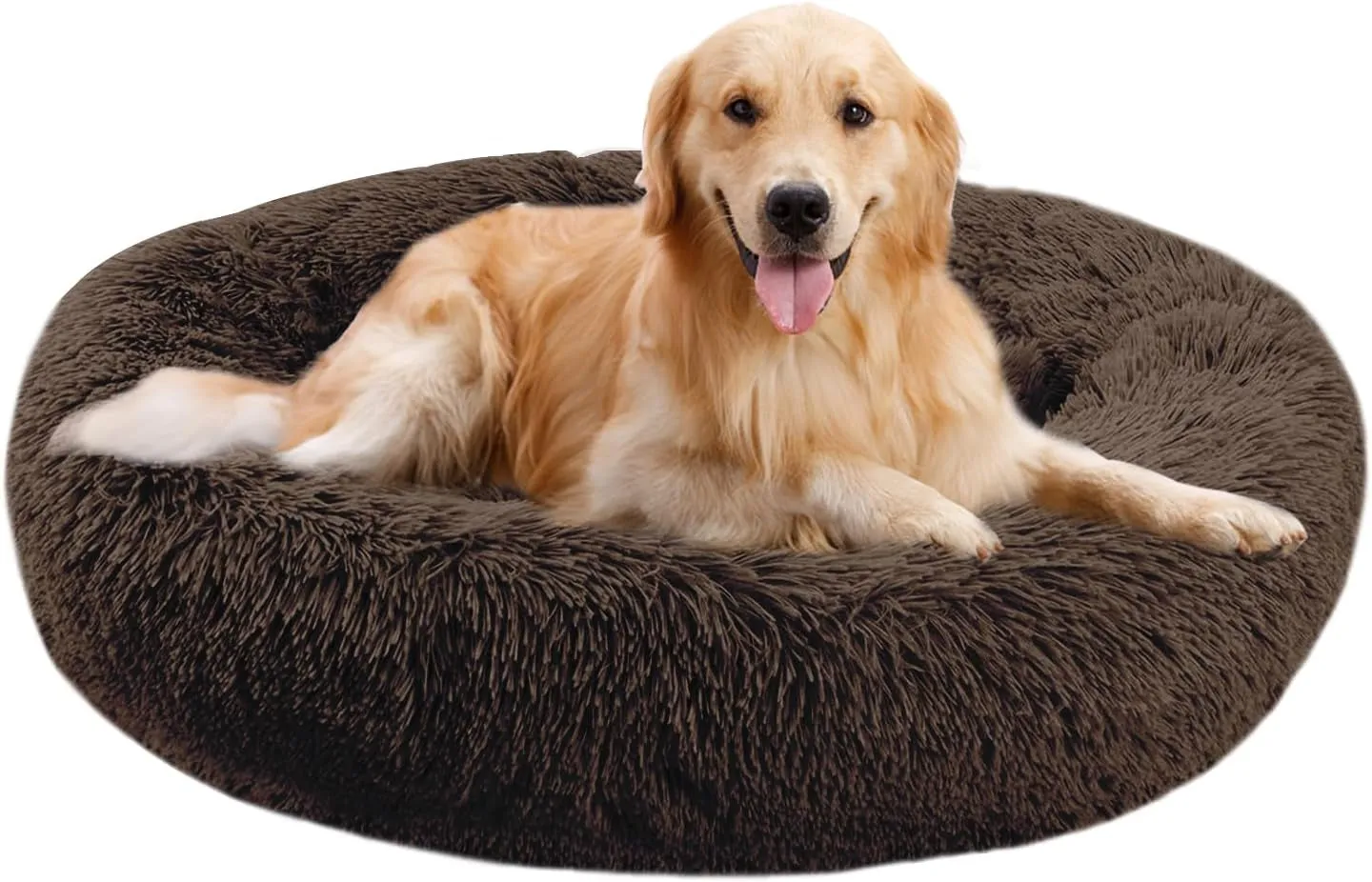 20 Inch Bed for Pets