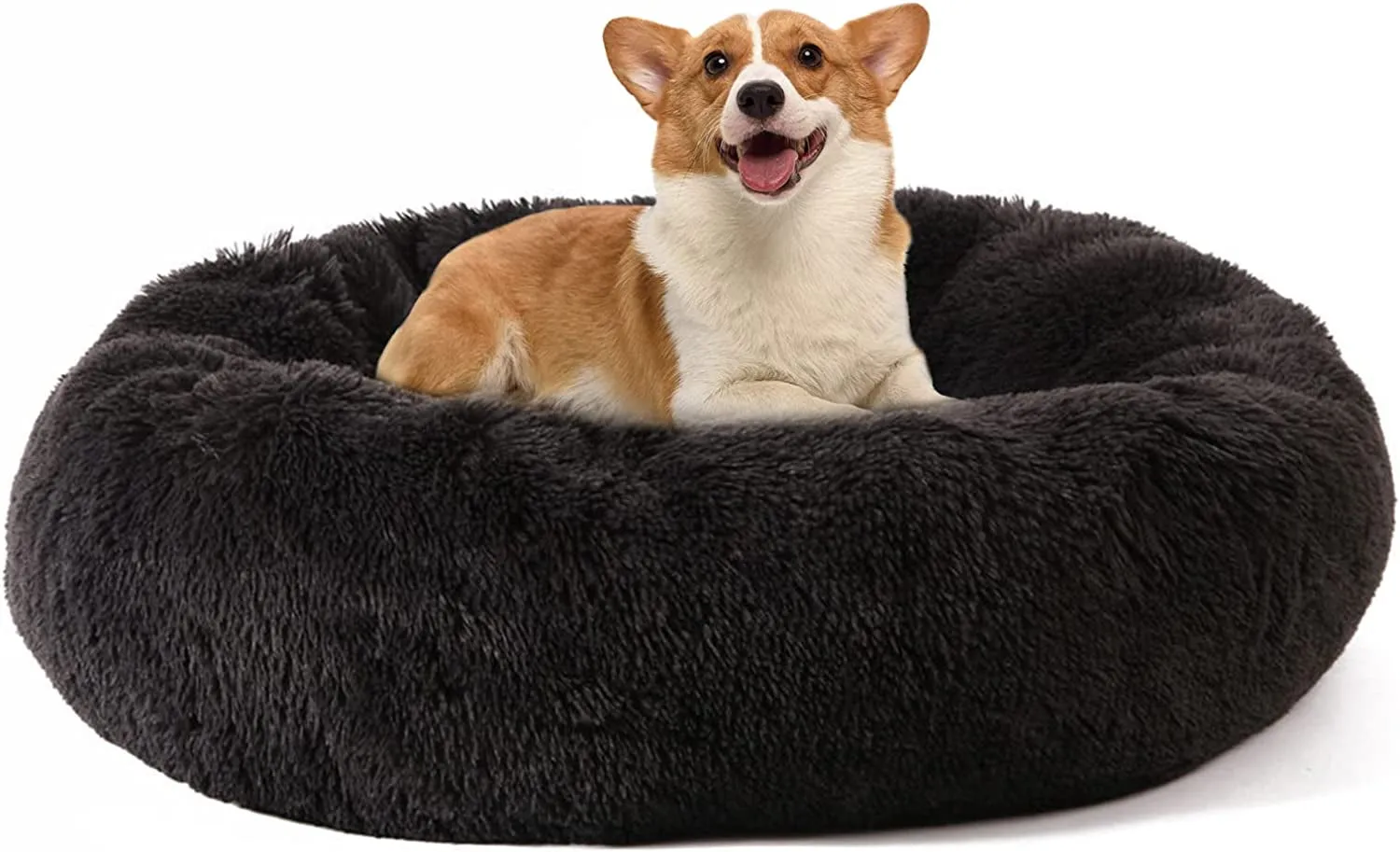 20 Inch Bed for Pets