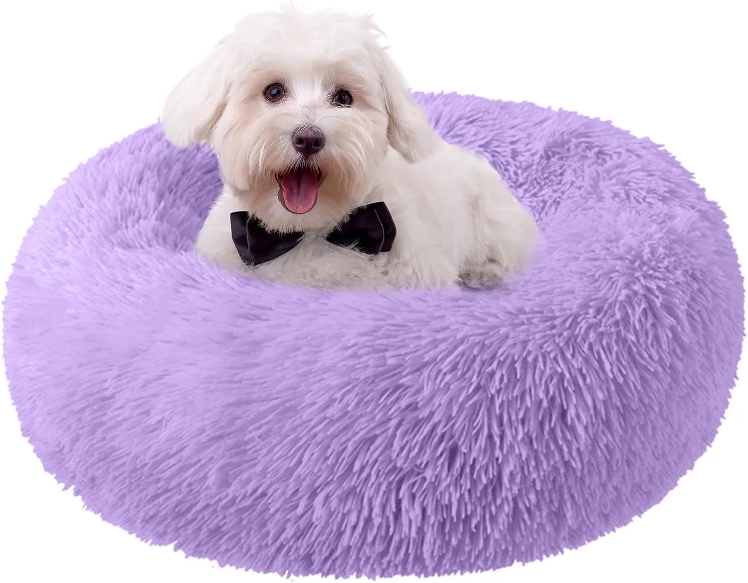 20 Inch Bed for Pets