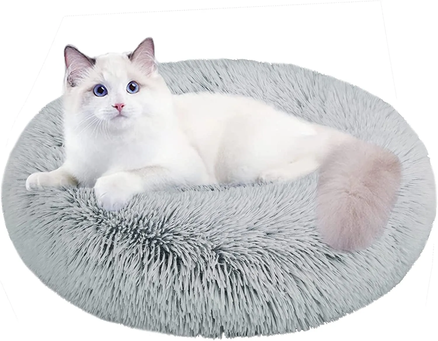 20 Inch Bed for Pets