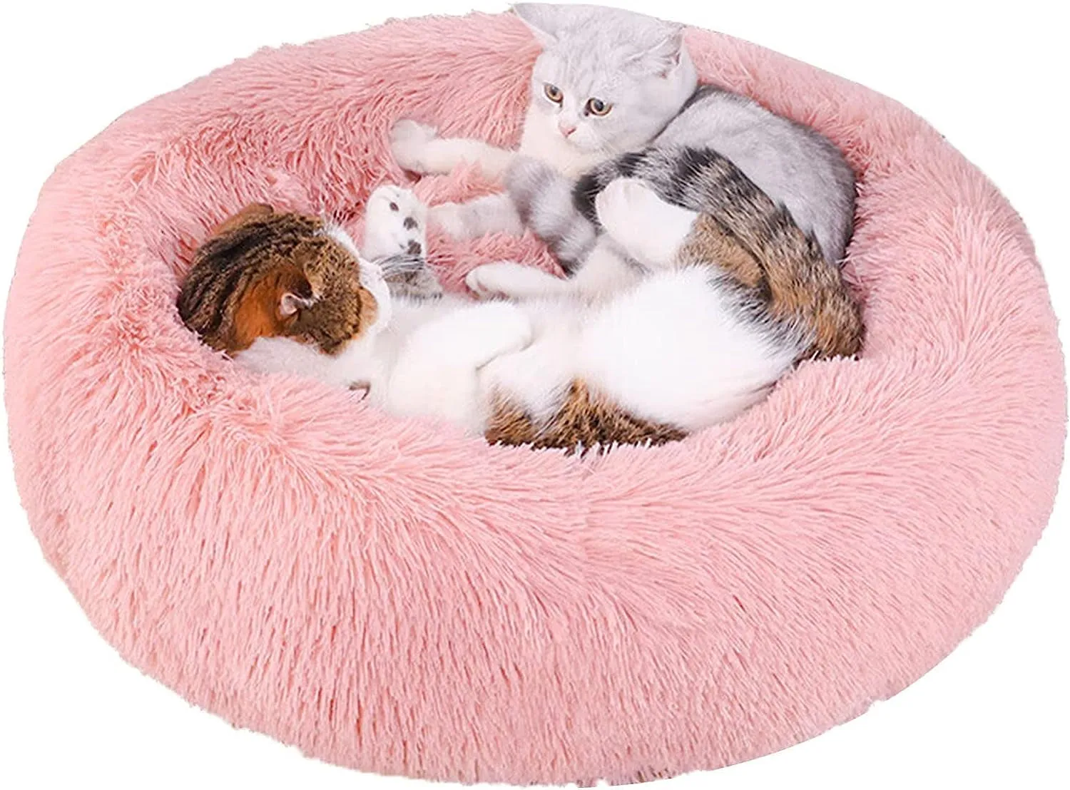 20 Inch Bed for Pets