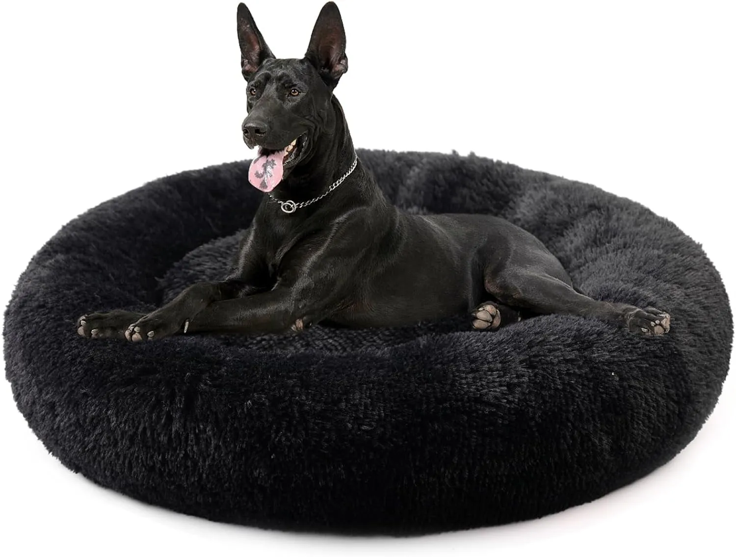 20 Inch Bed for Pets