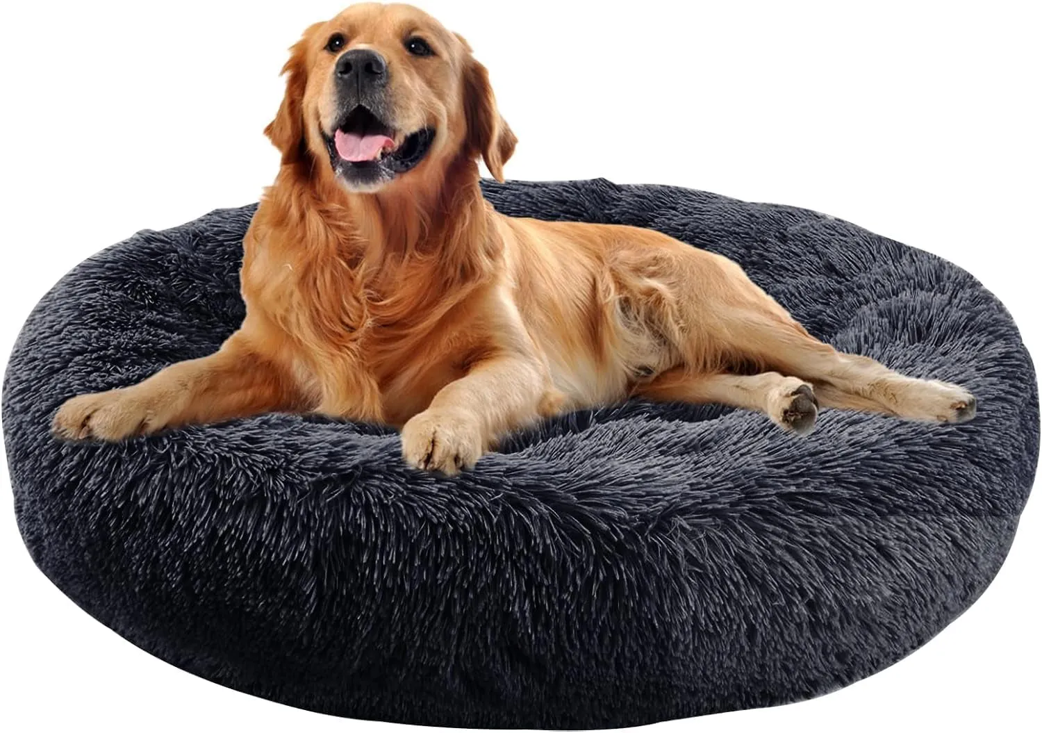 20 Inch Bed for Pets