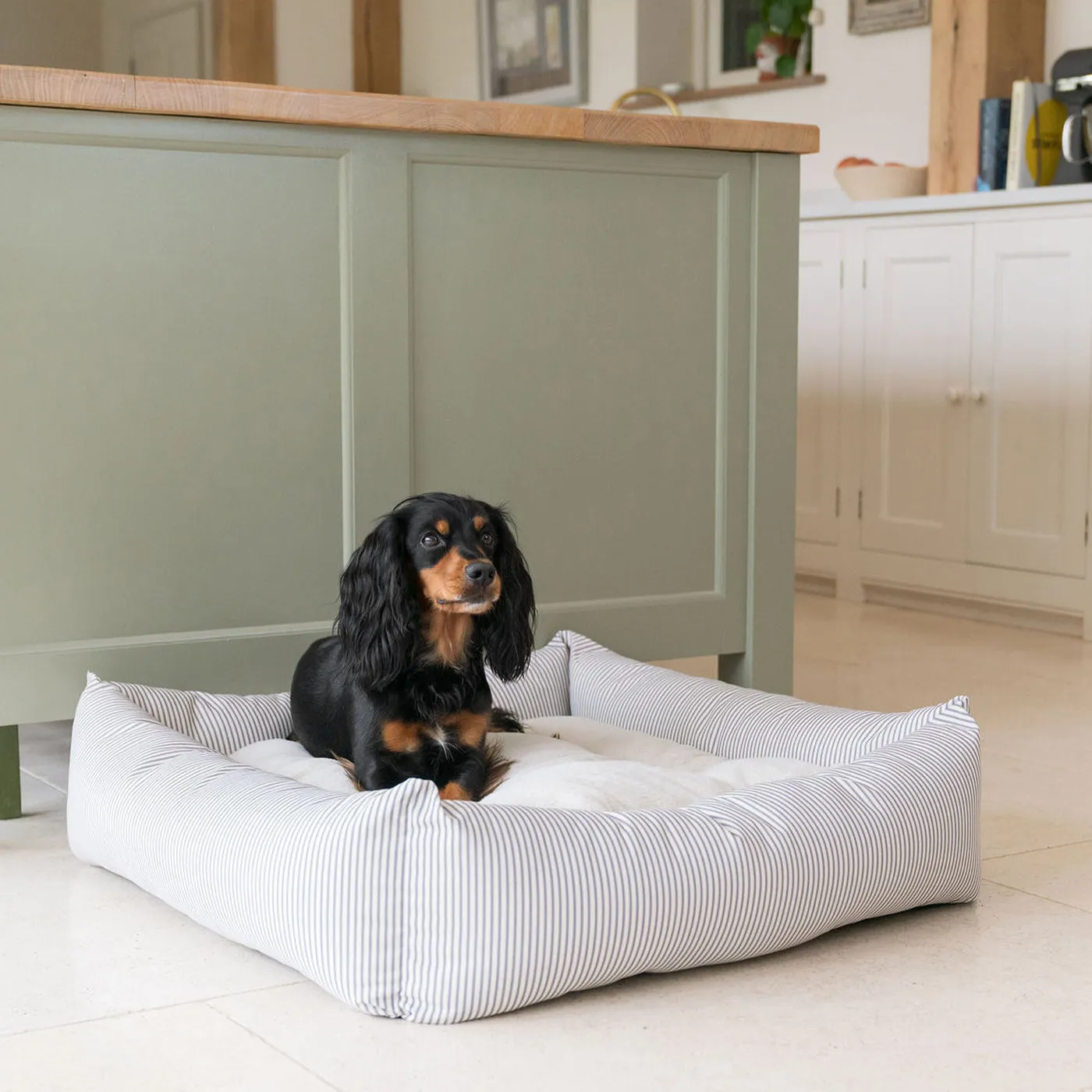 Box Bed in Regency Stripe  by Lords & Labradors