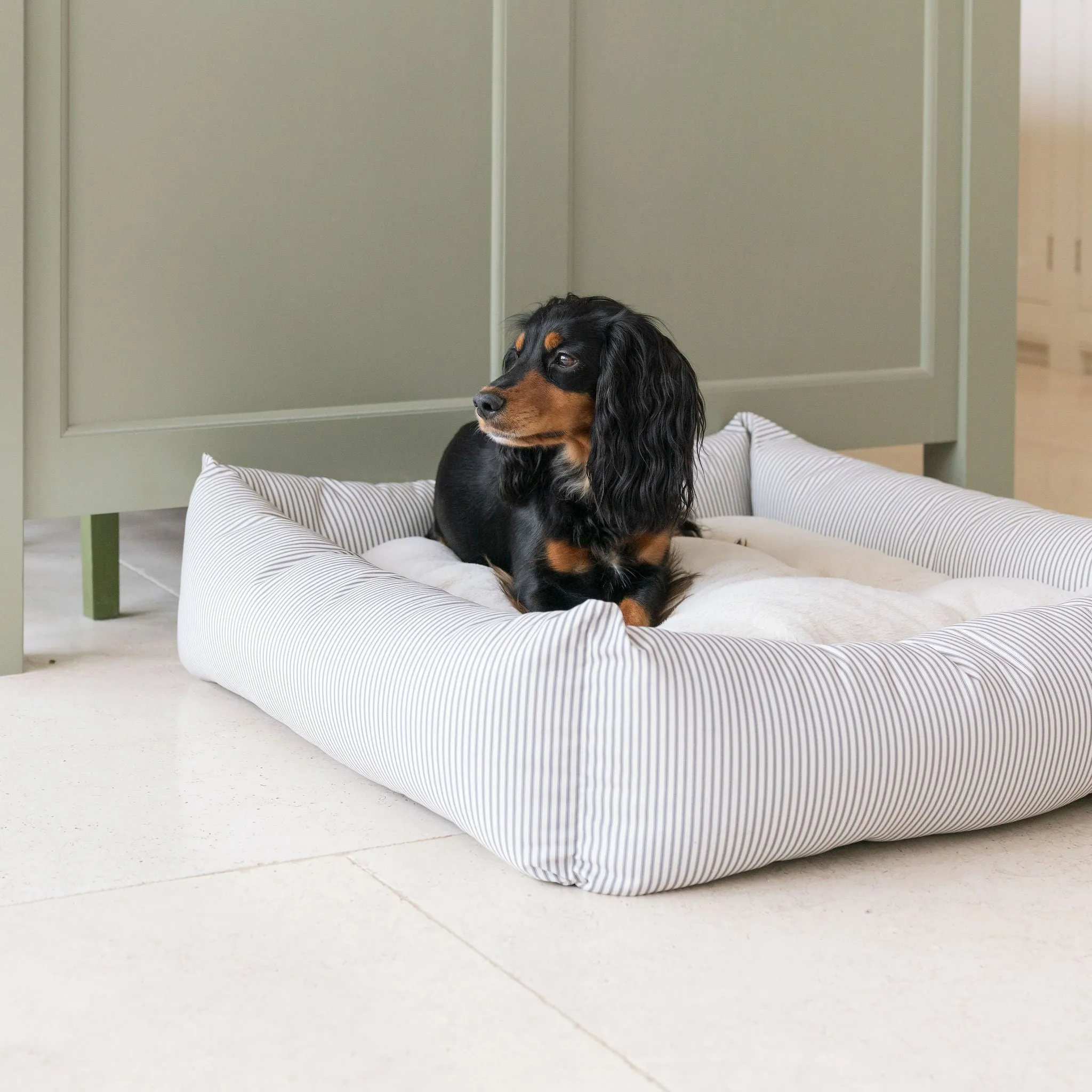 Box Bed in Regency Stripe  by Lords & Labradors