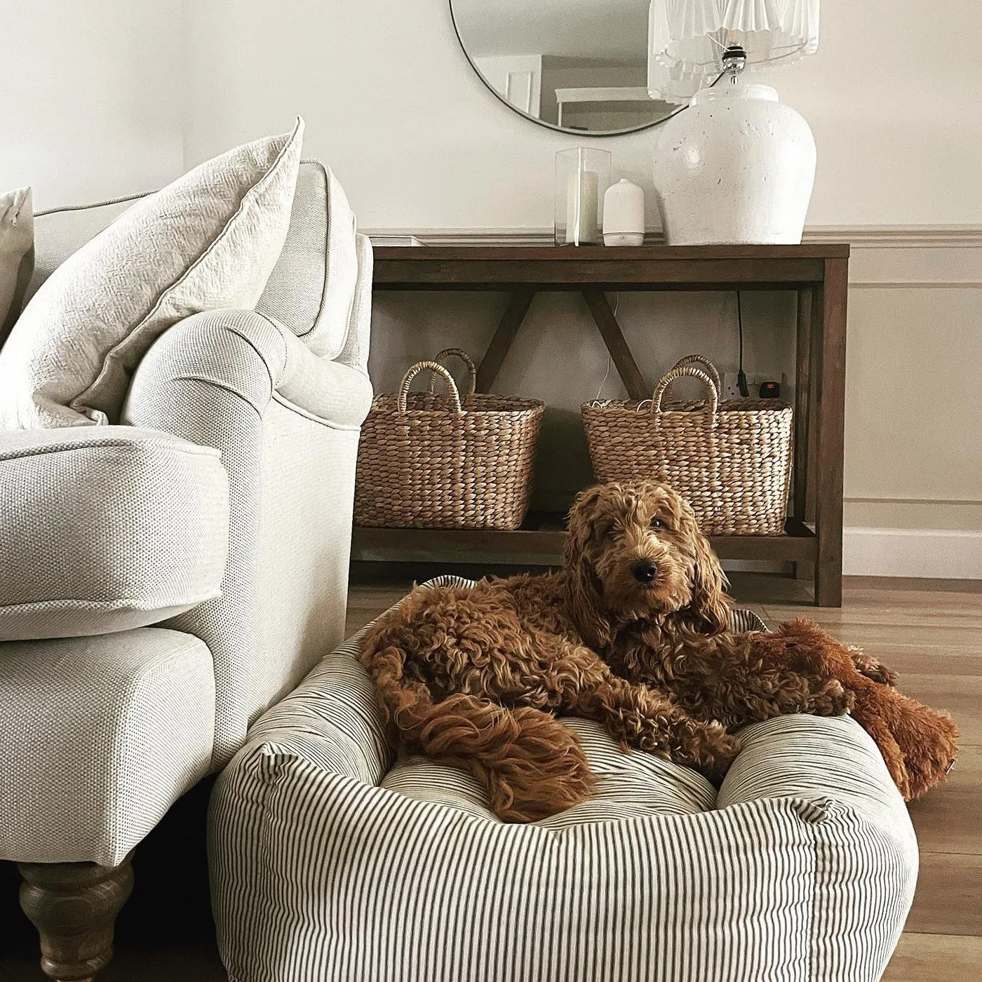 Box Bed in Regency Stripe  by Lords & Labradors