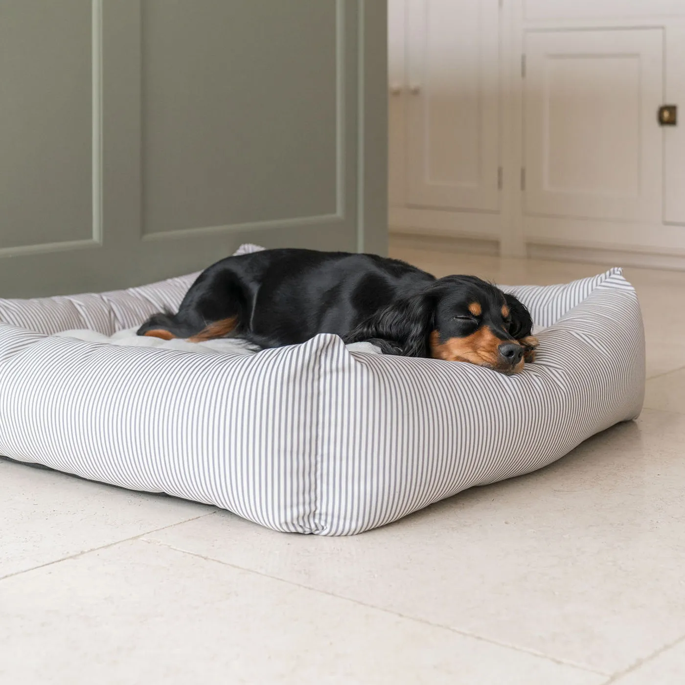 Box Bed in Regency Stripe  by Lords & Labradors