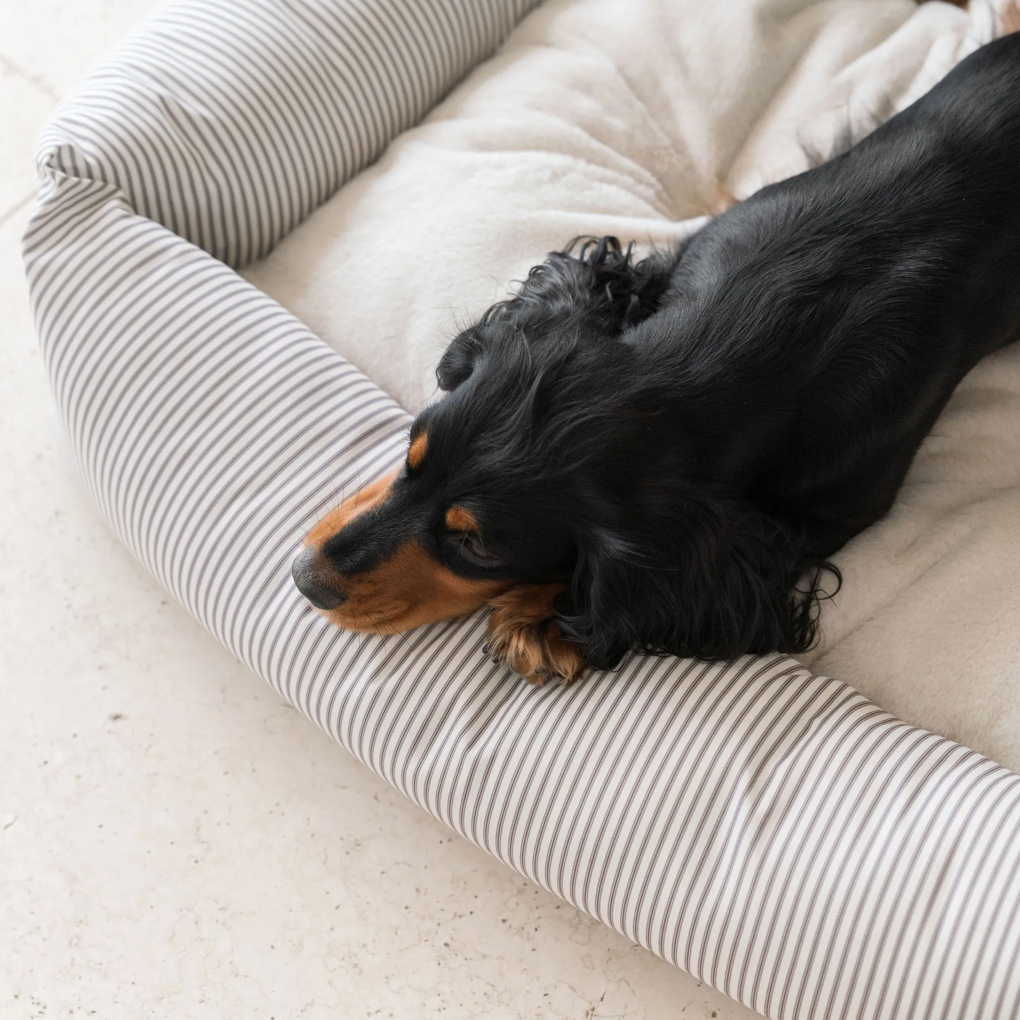 Box Bed in Regency Stripe  by Lords & Labradors