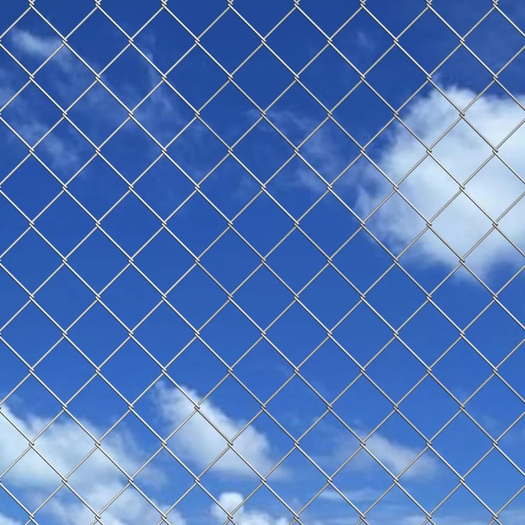 Chain Link Fence with Posts Galvanised Steel 25x0.8 m Silver