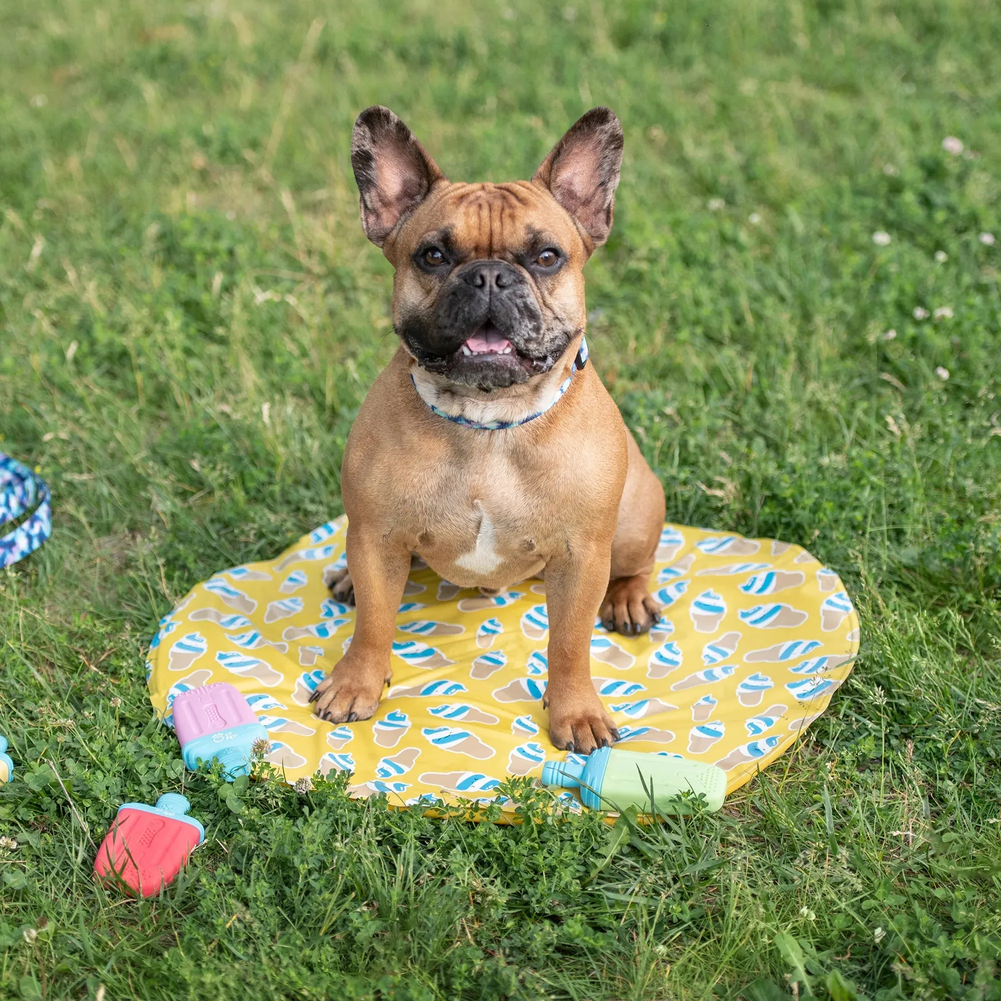 GF Pet - Ice Mat Cooling Mat