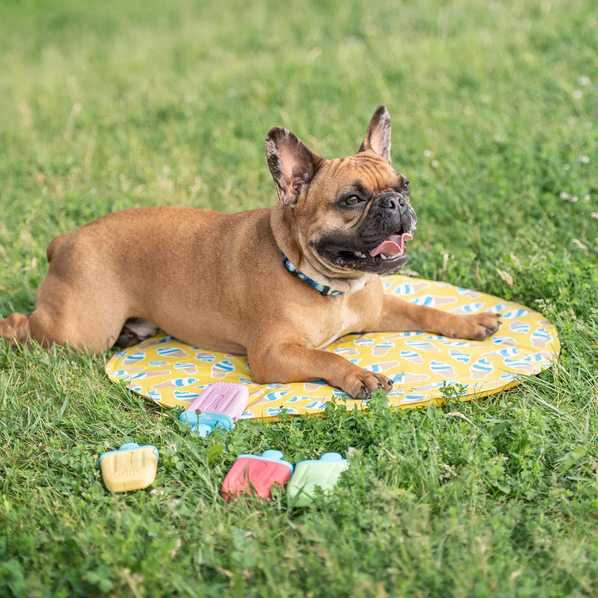 GF Pet - Ice Mat Cooling Mat