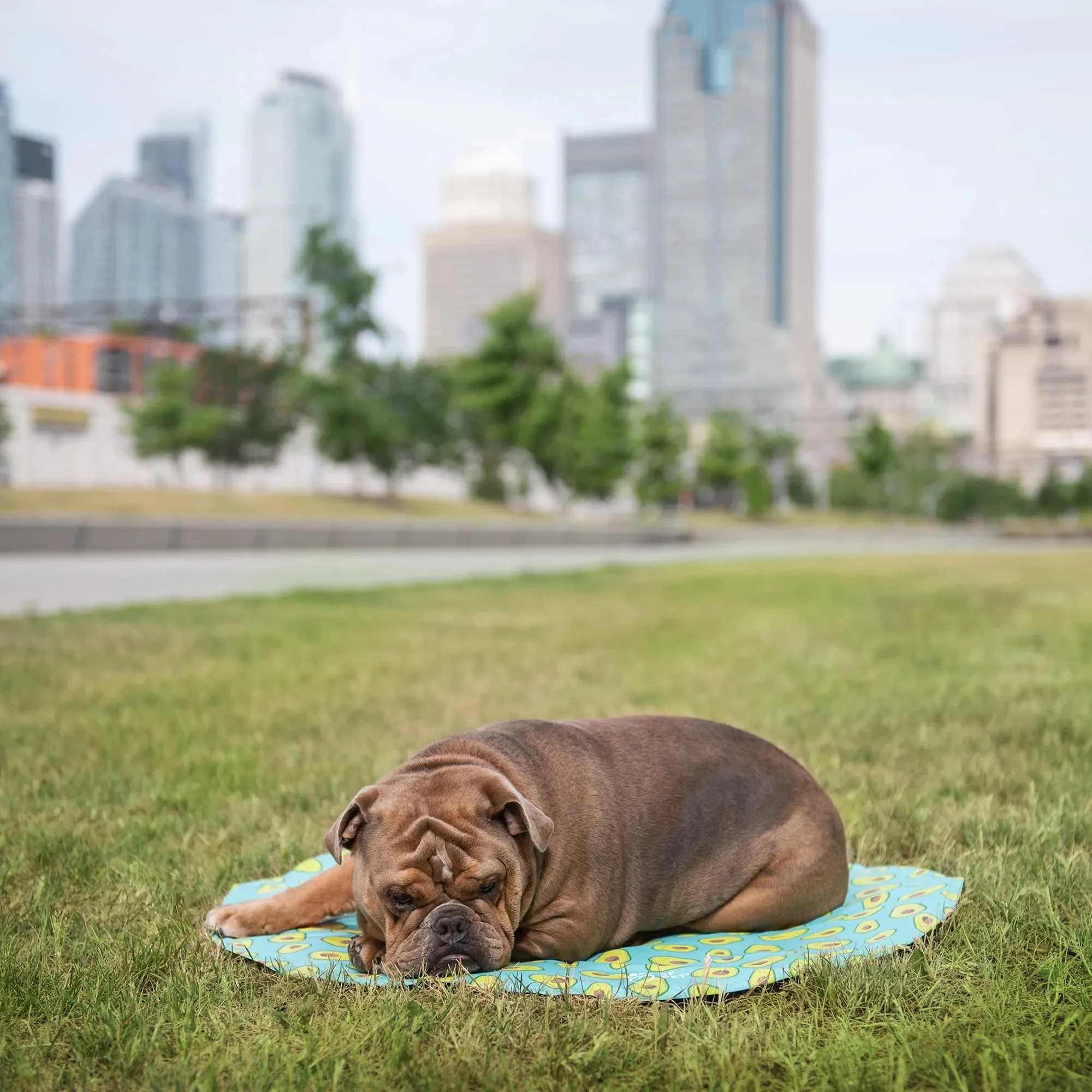 GF Pet - Ice Mat Cooling Mat