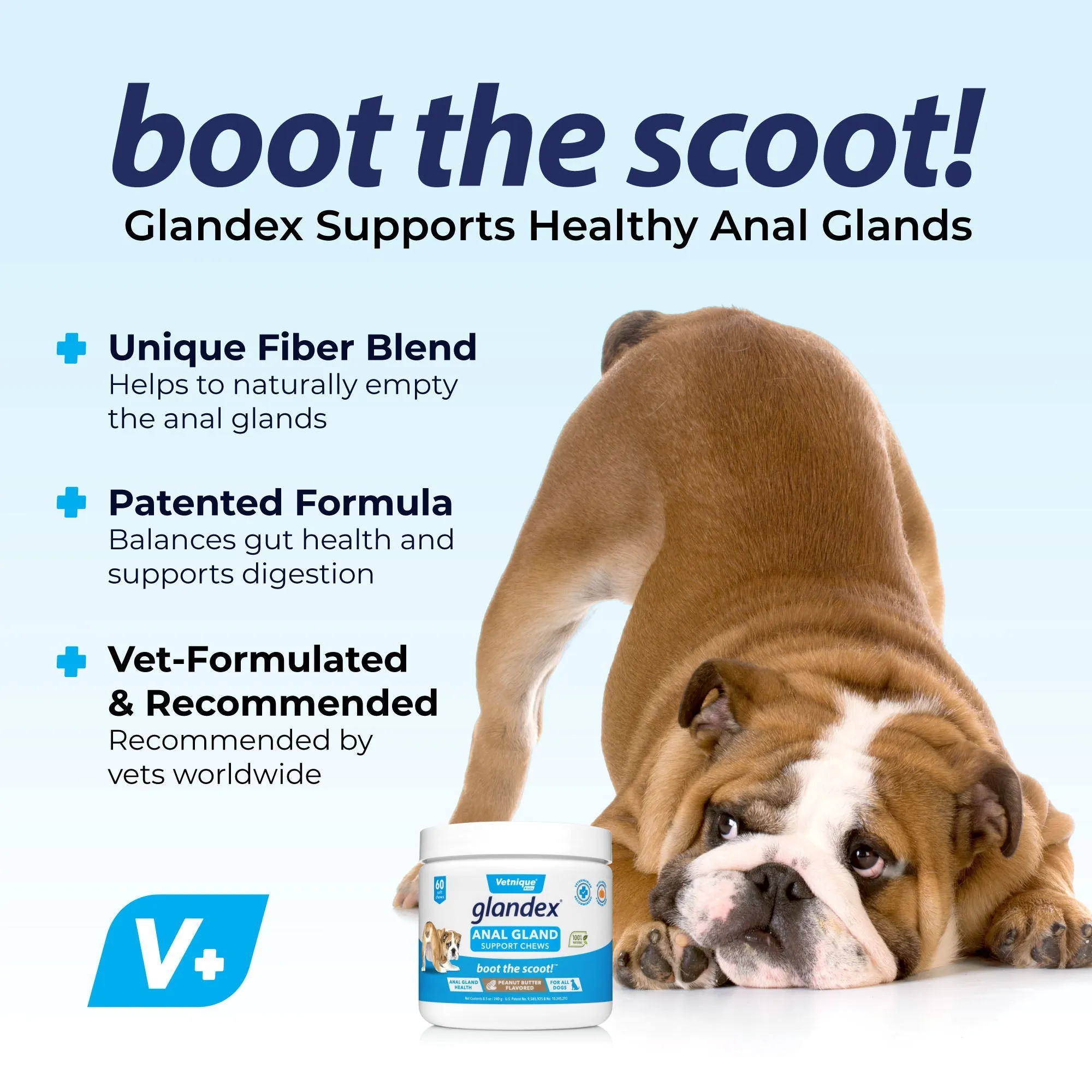 Glandex® Boot The Scoot Anal Gland Bundle