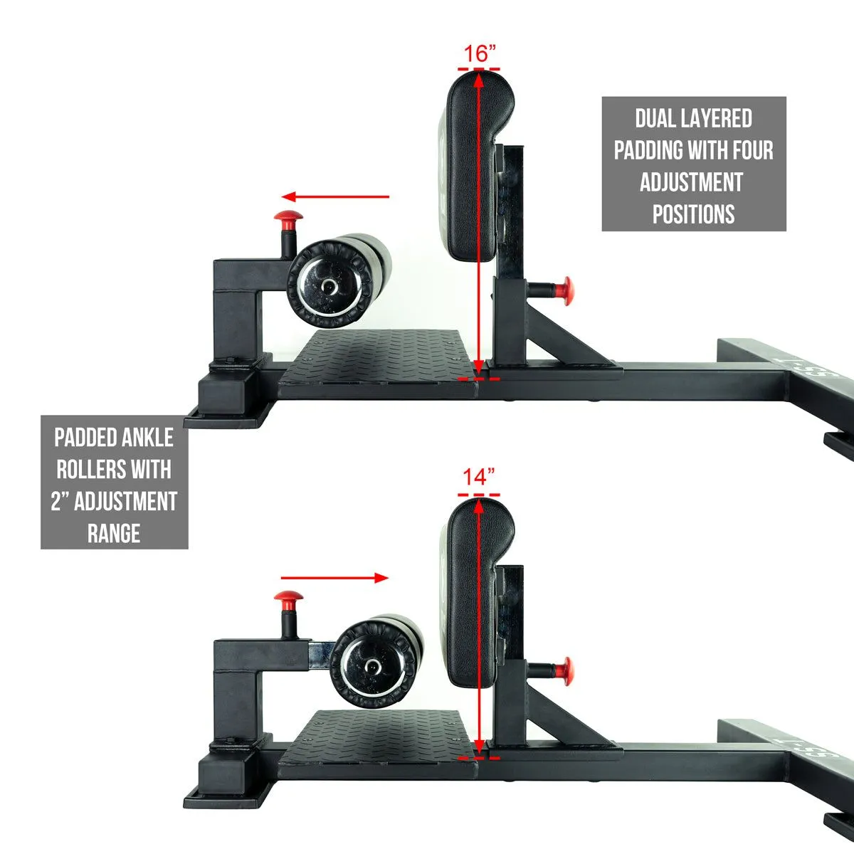 Heavy Duty Sissy Squat Machine