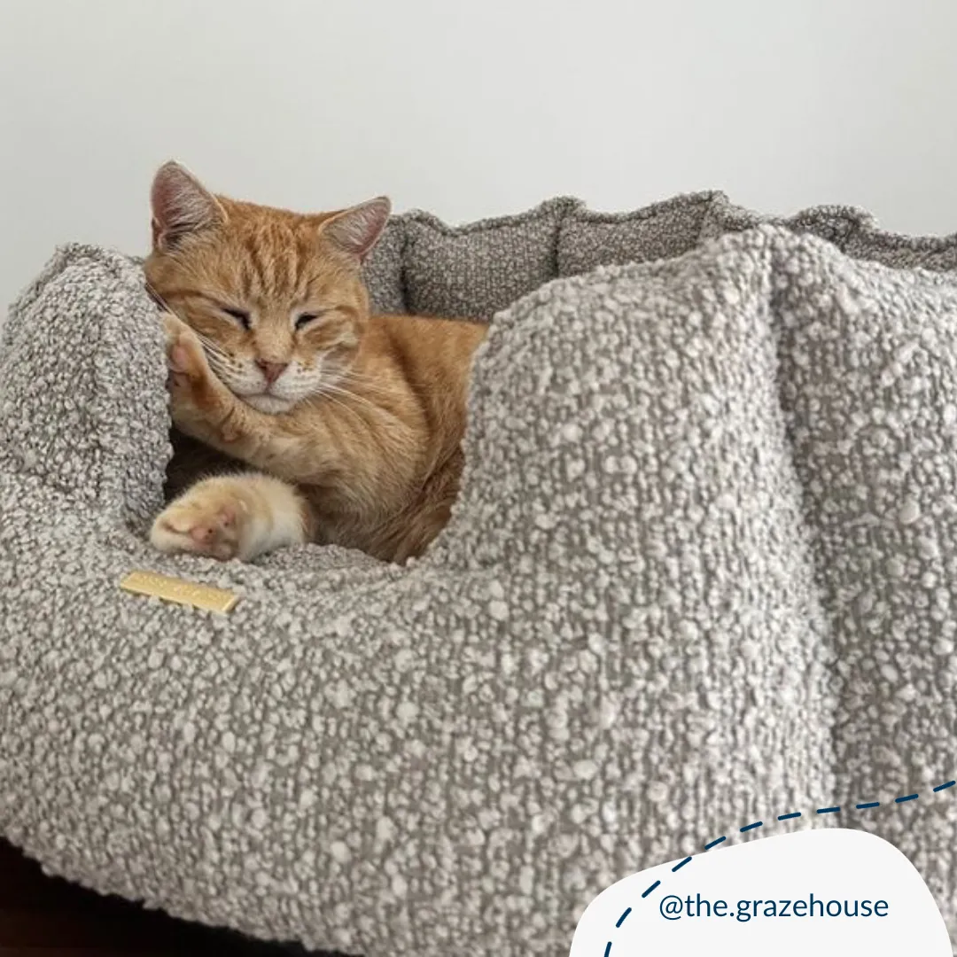 High Wall Bed For Cats in Bouclé by Lords & Labradors