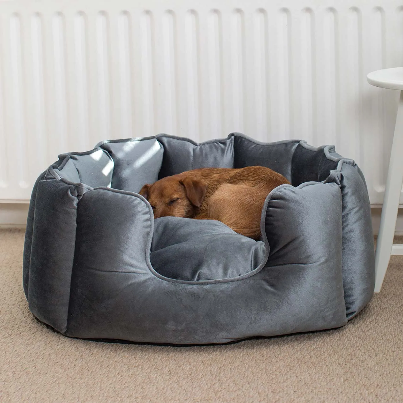 High Wall Bed For Dogs in Elephant Velvet by Lords & Labradors