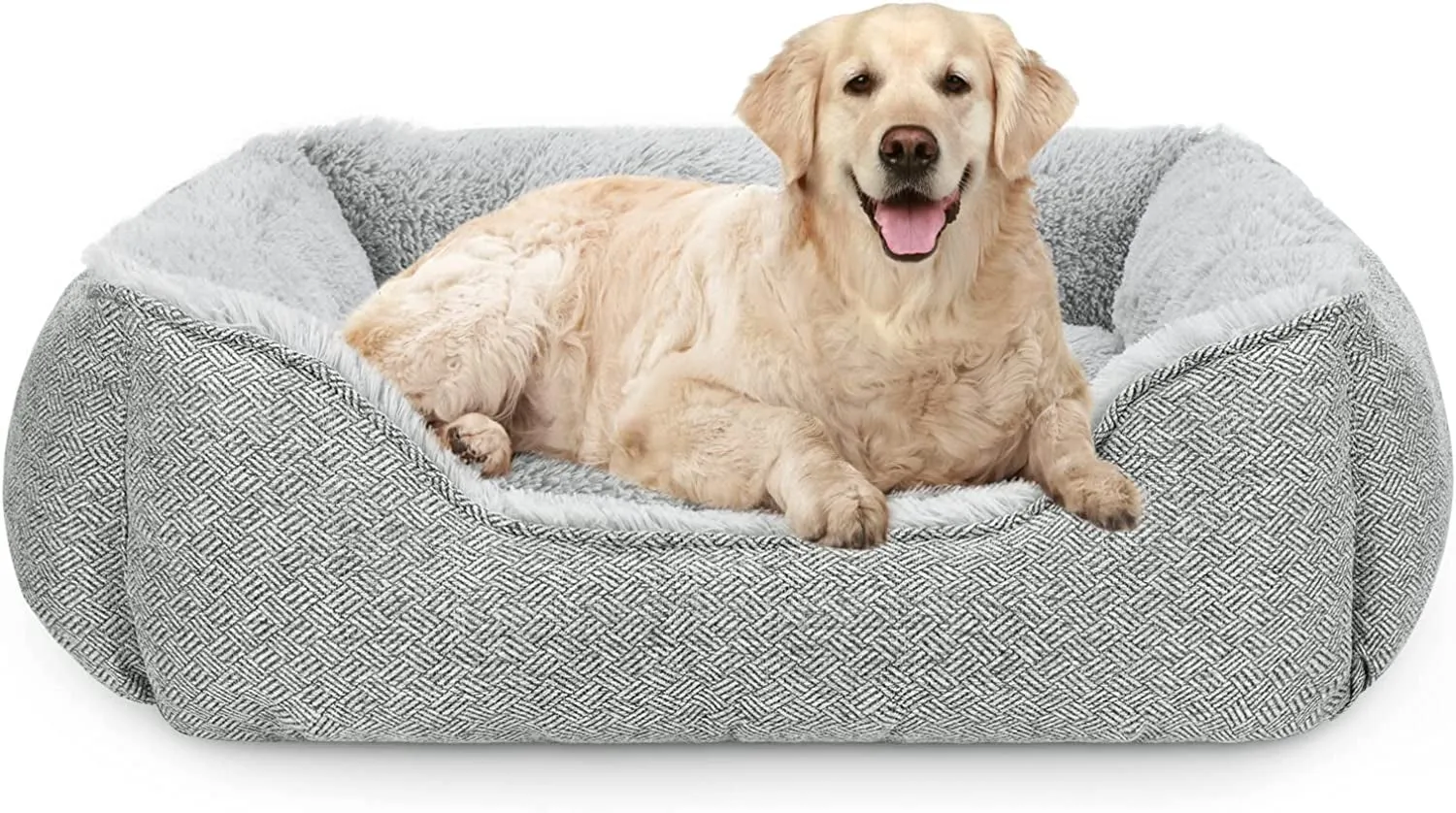 Medium Dog Beds