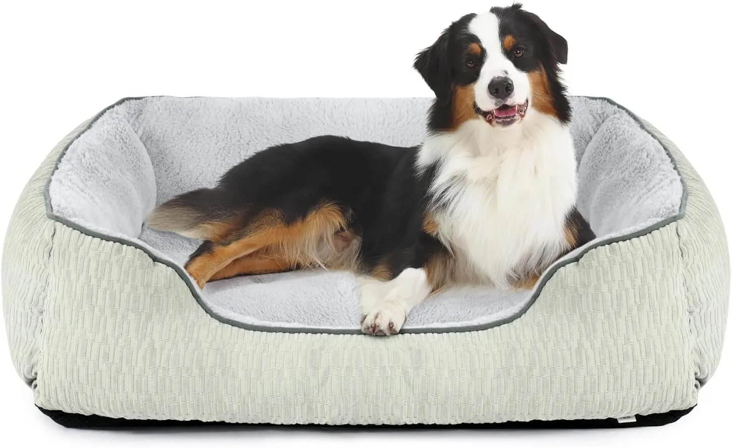 Medium Dog Beds