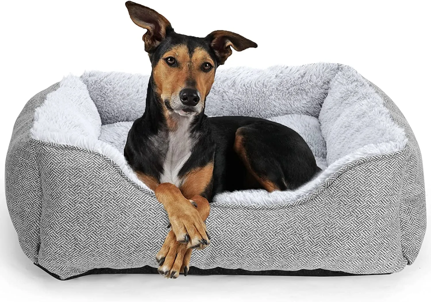 Medium Dog Beds