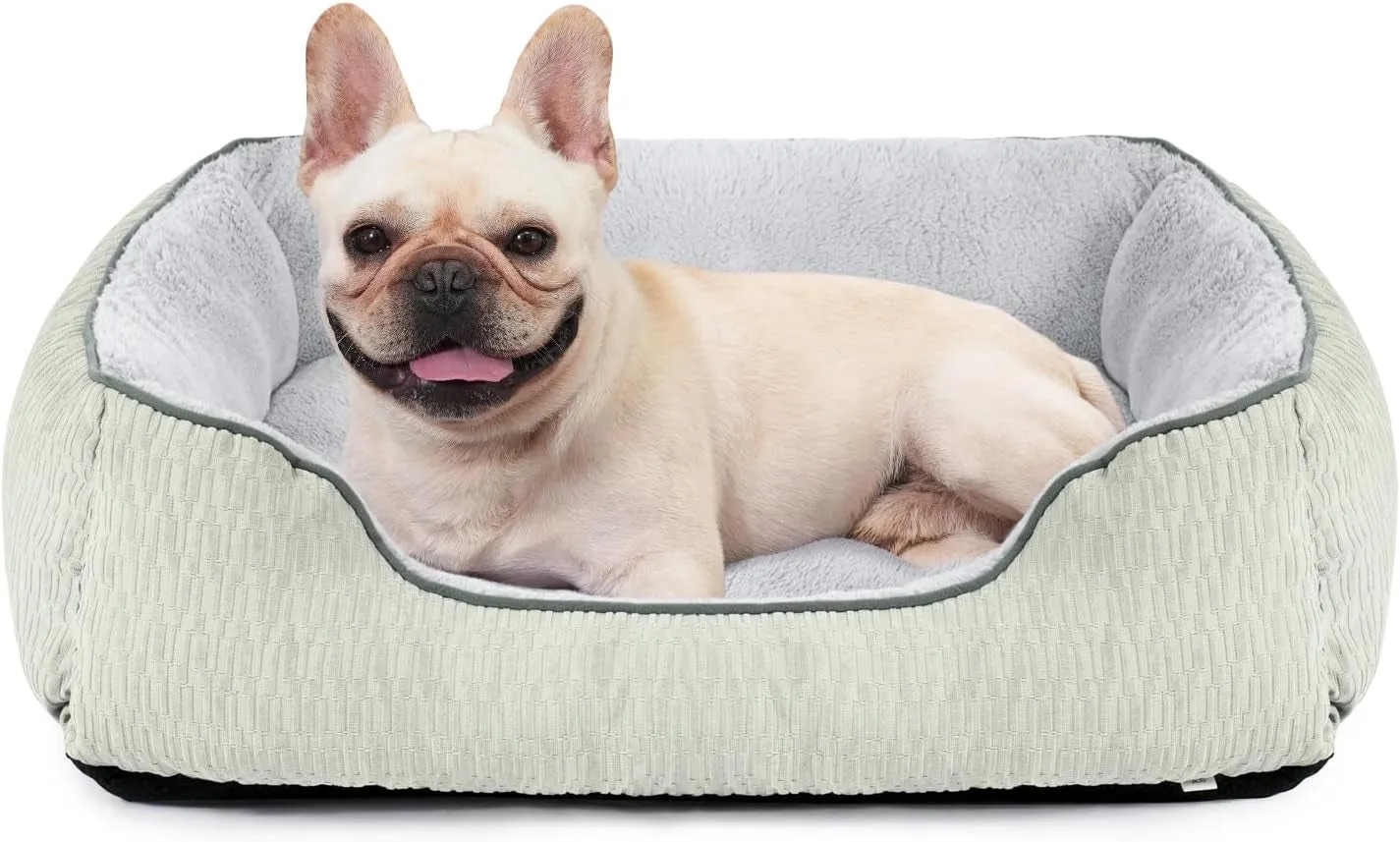 Medium Dog Beds