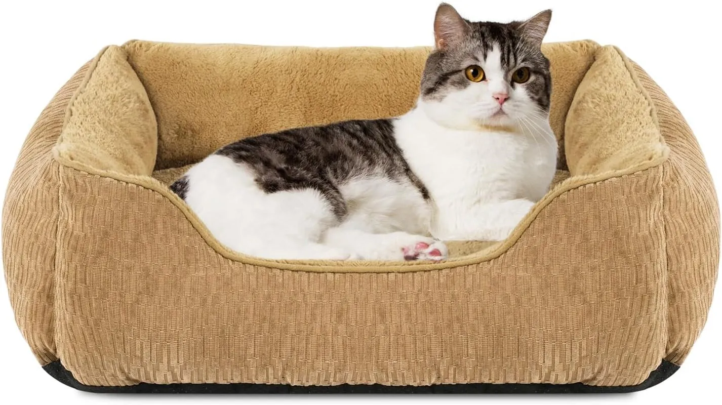 Medium Dog Beds