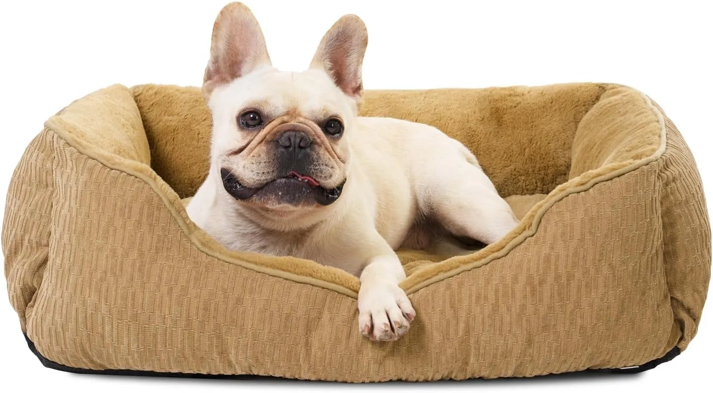 Medium Dog Beds