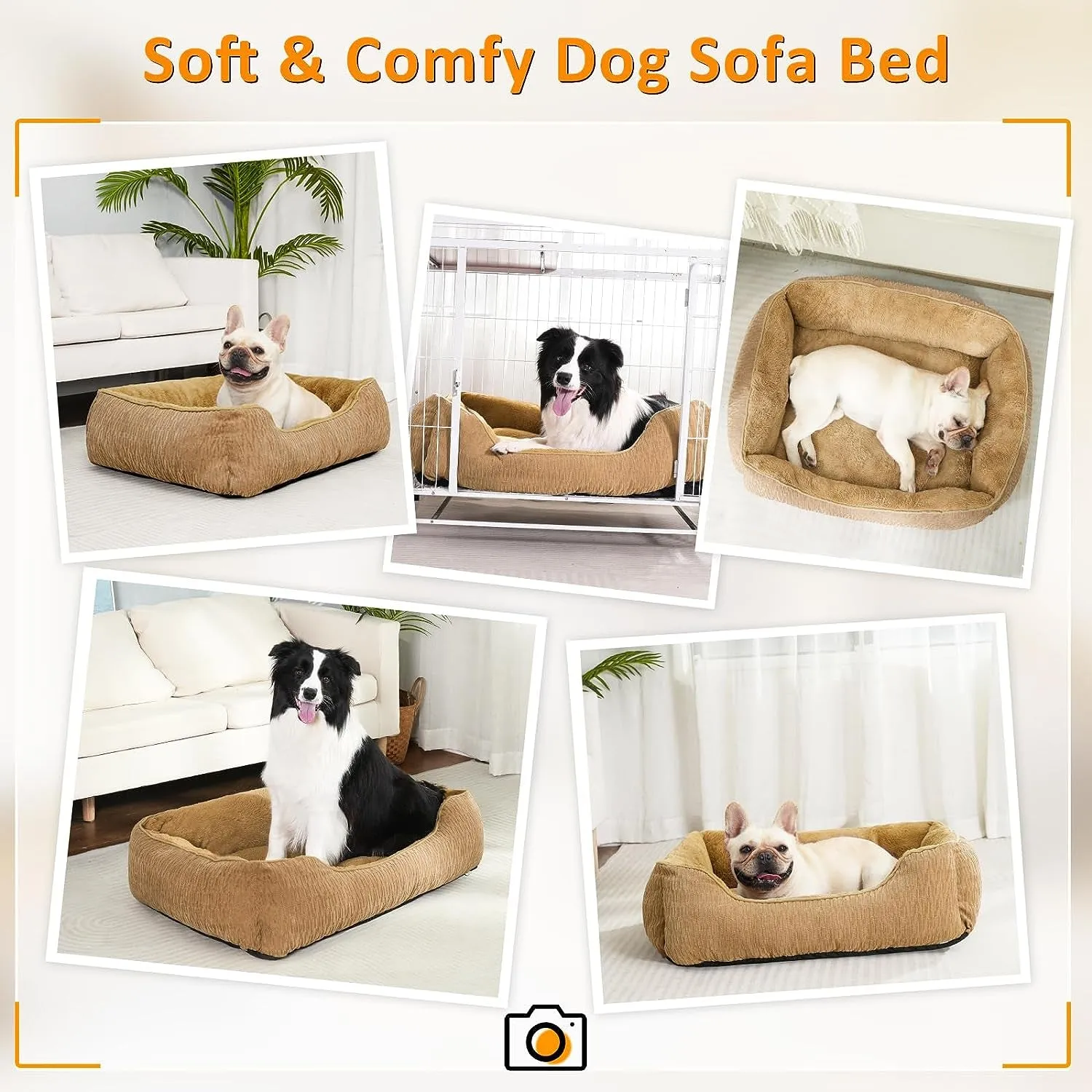 Medium Dog Beds