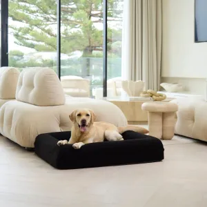 Memory Foam Dog Bed - Polar Fleece Black