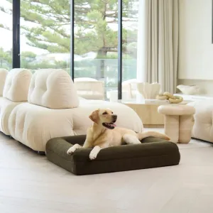 Memory Foam Dog Bed - Polar Fleece Olive