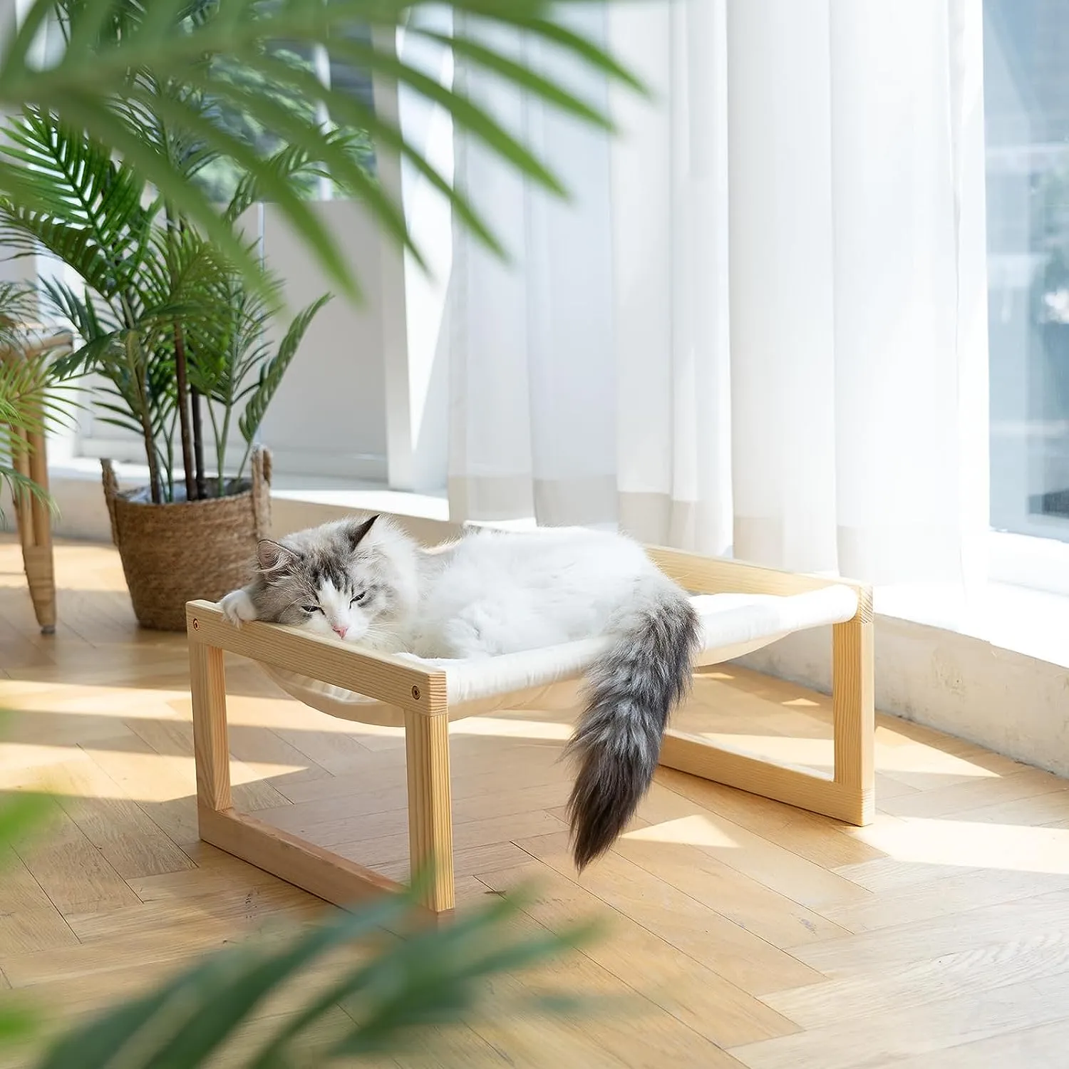 Plush Velvet Cat Beds for Indoor Cats